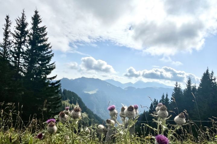 2024-wallberg-so-julia-keck-37-2