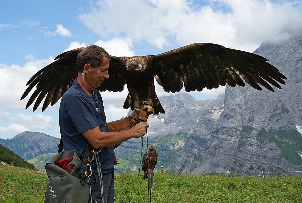 Falkenhof_Paul_Klima_Steinadler_Film_shooting_Detail