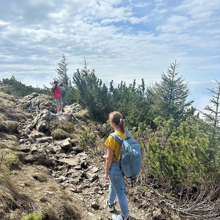 2025-wallberg-so-julia-keck-wandern-5-1