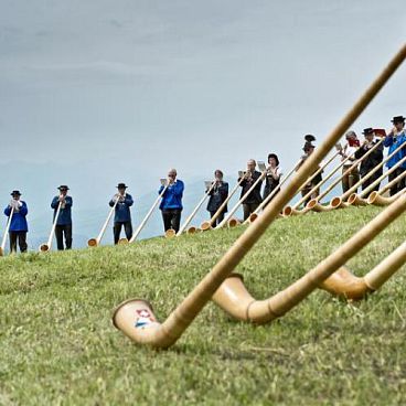 alphornblaesertreffen-auf-der-rigi-in-der-zentralschweiz-20140721-1384899330-3