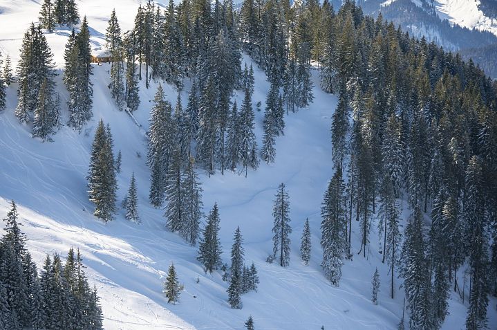 Wallberg_Dietmar Denger-37